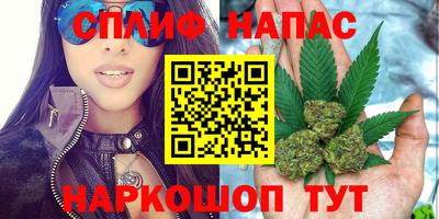 гашик Ливны