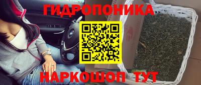 гашик Ливны