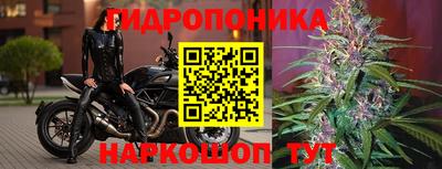 герыч Лесосибирск