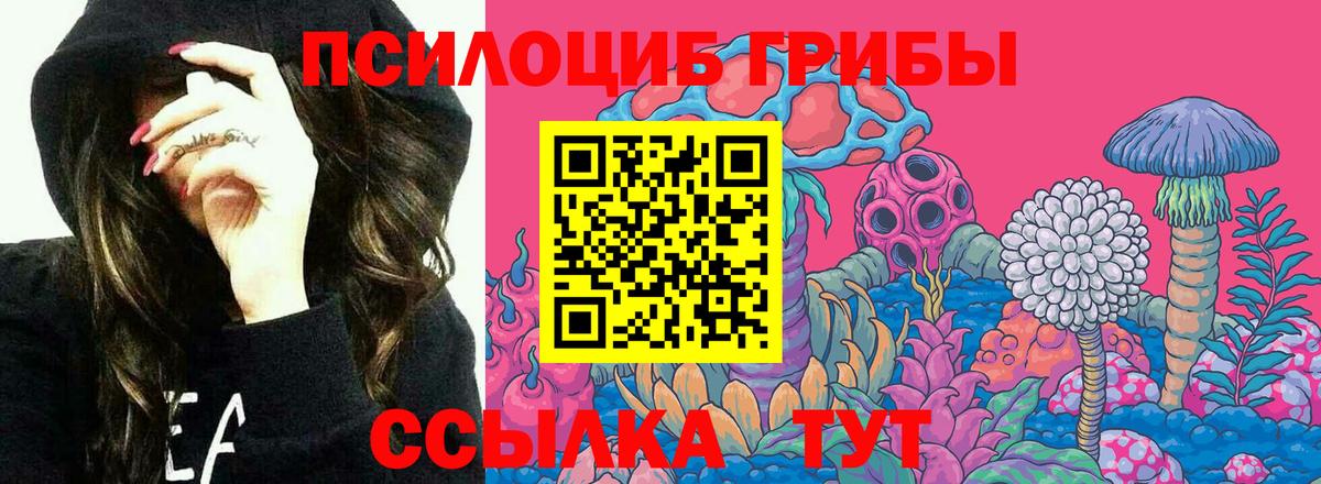 Псилоцибиновые грибы Psilocybine cubensis Гулькевичи