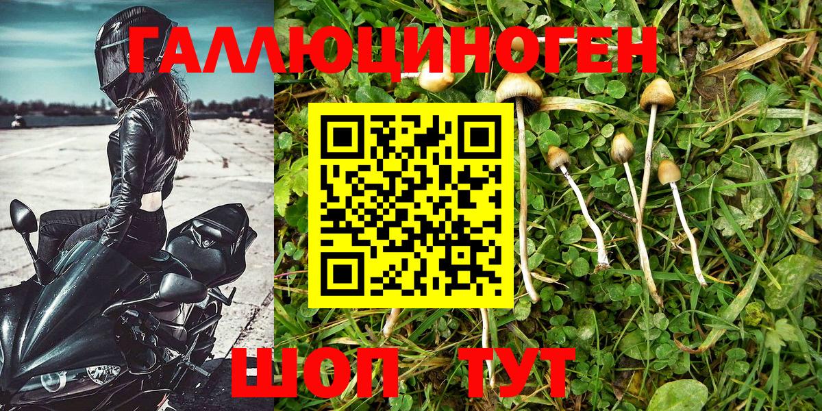 Гулькевичи  Галлюциногенные грибы MAGIC MUSHROOMS  Вход с VPN 